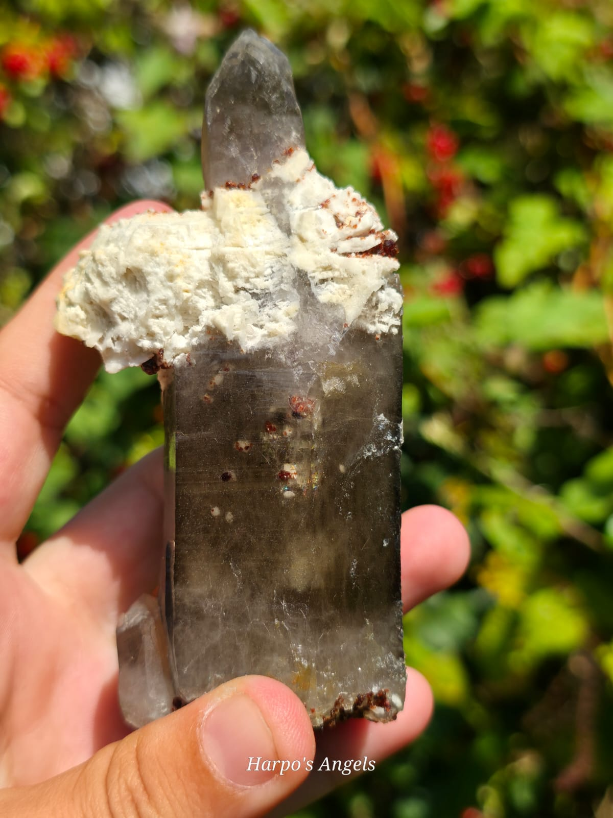 Smoky Quartz with Garnet & Hyalite Opal
