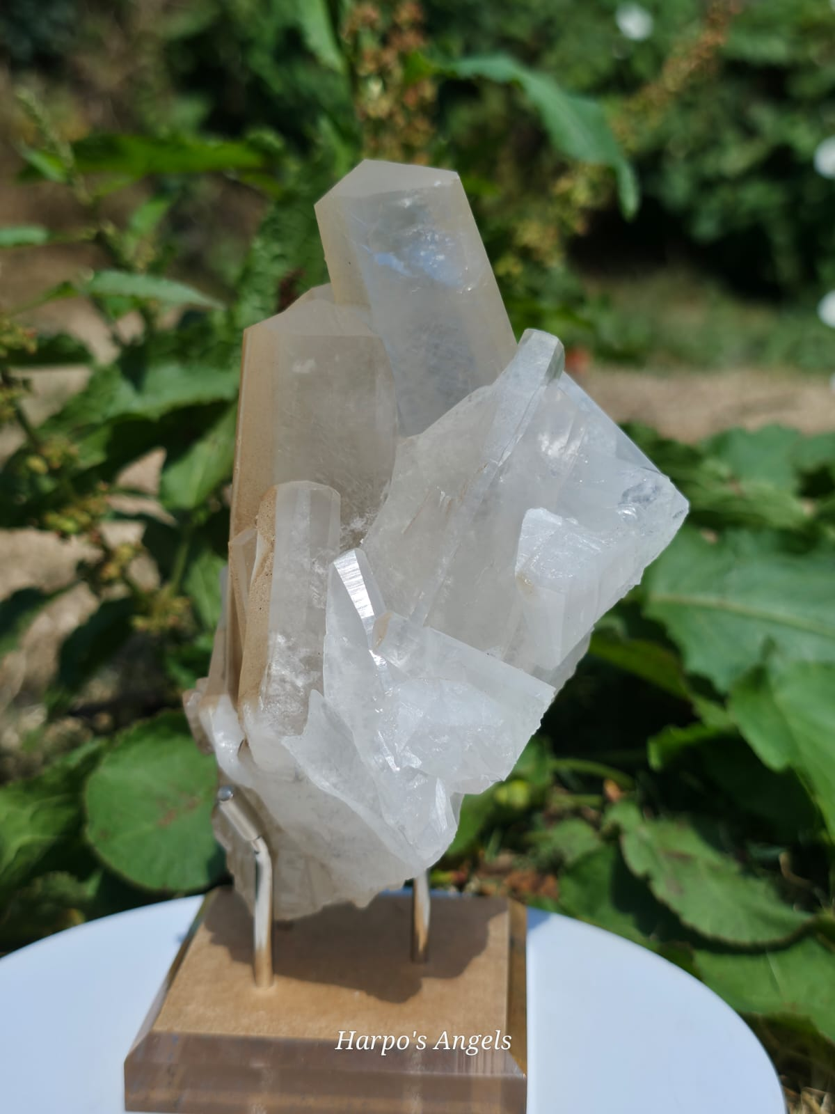 Column Calcite Cluster