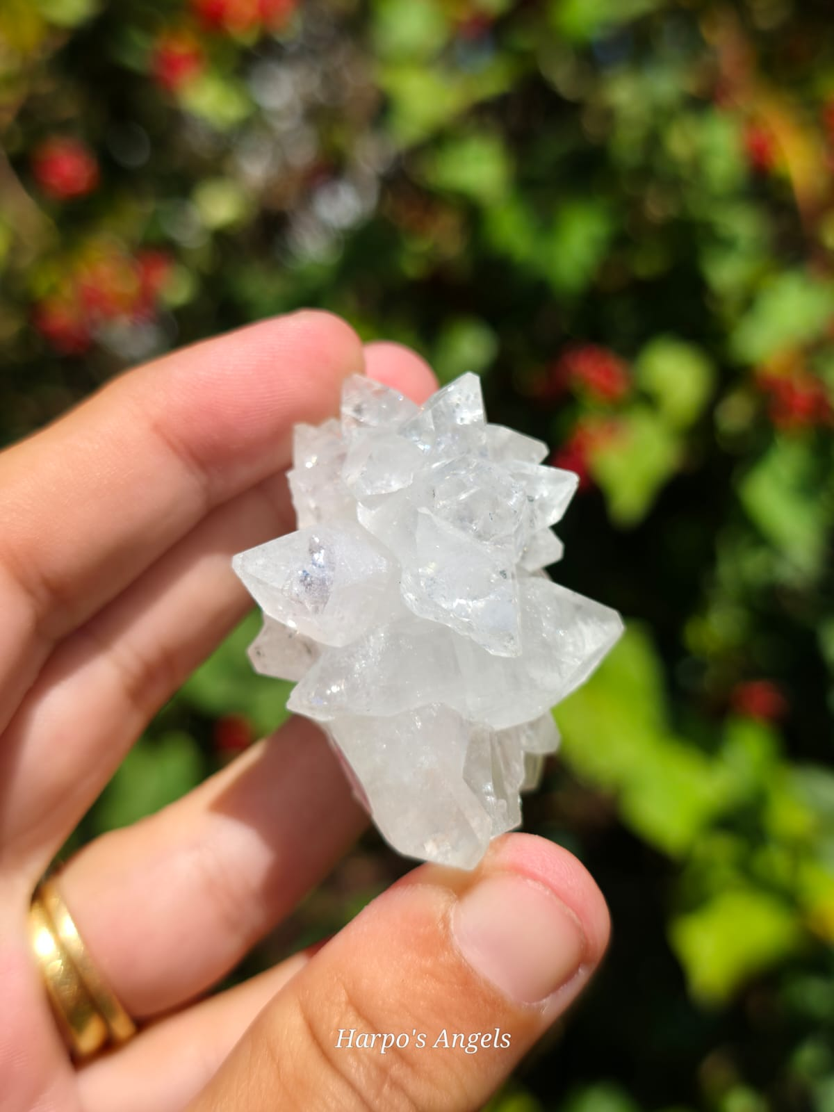 Indian Apophyllite Cluster