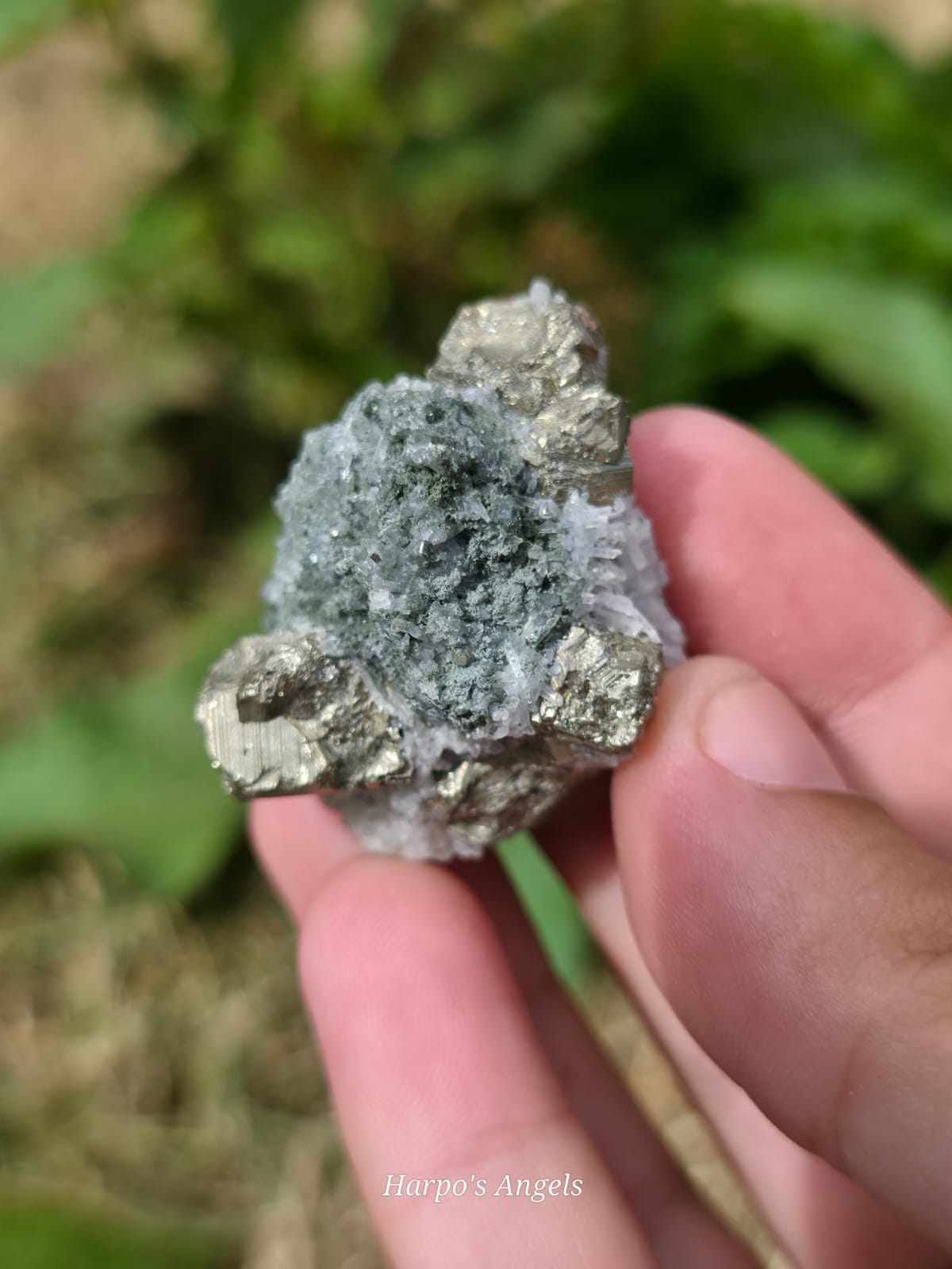 Quartz & Pyrite Specimen Bulgaria