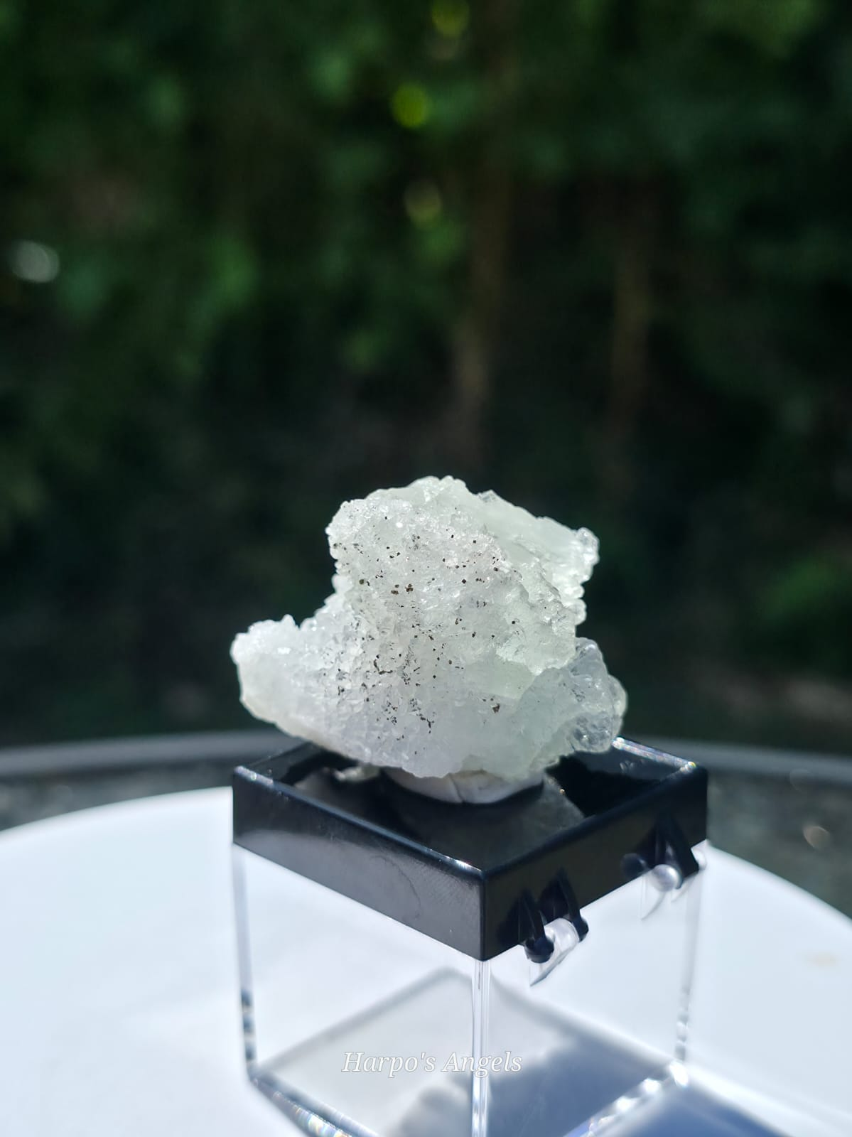 XHL Pale Green Fluorite with Quartz & Pyrite