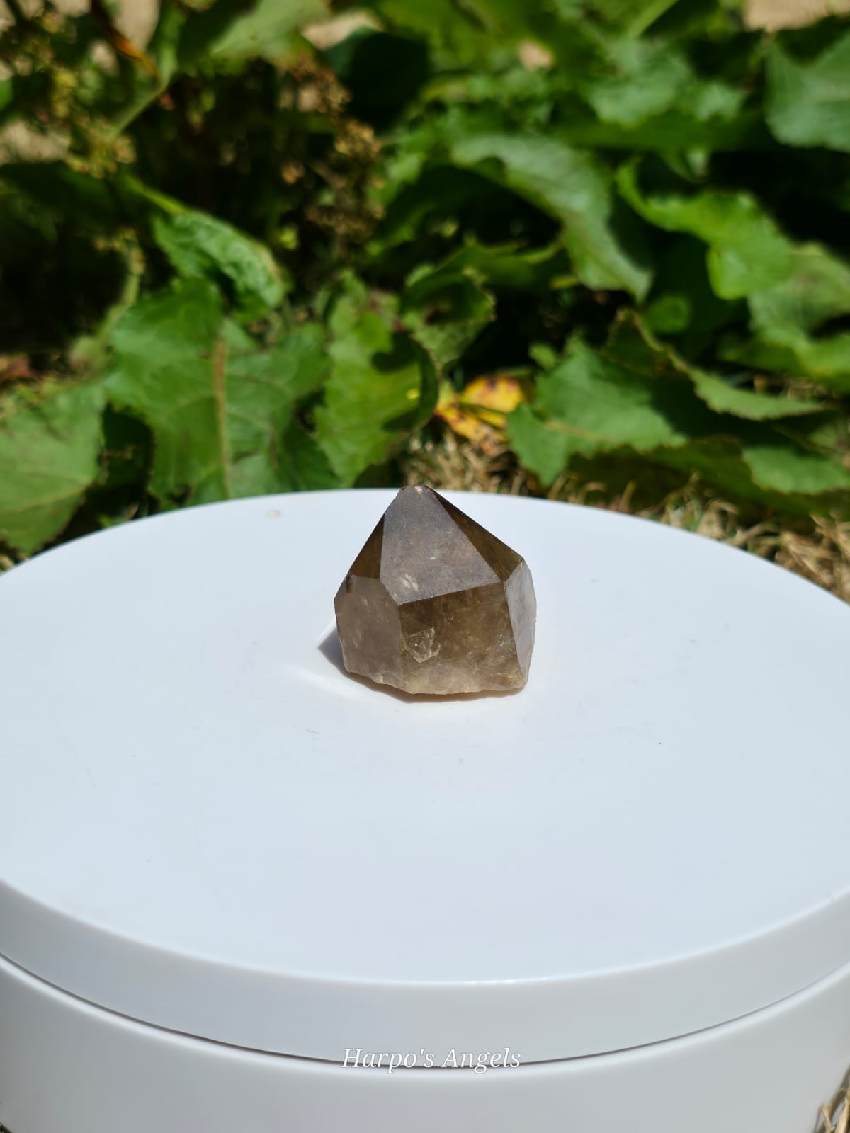 Natural Kundalini Citrine Points