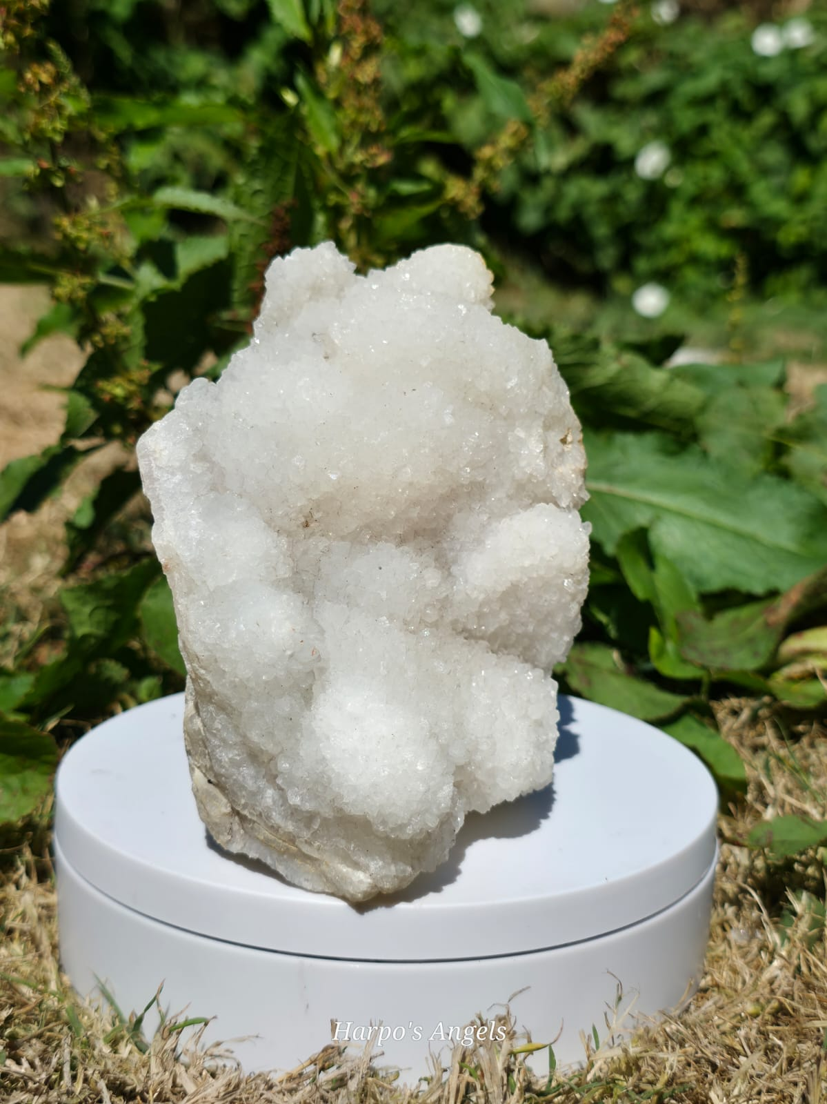 Large Indian Quartz Cluster