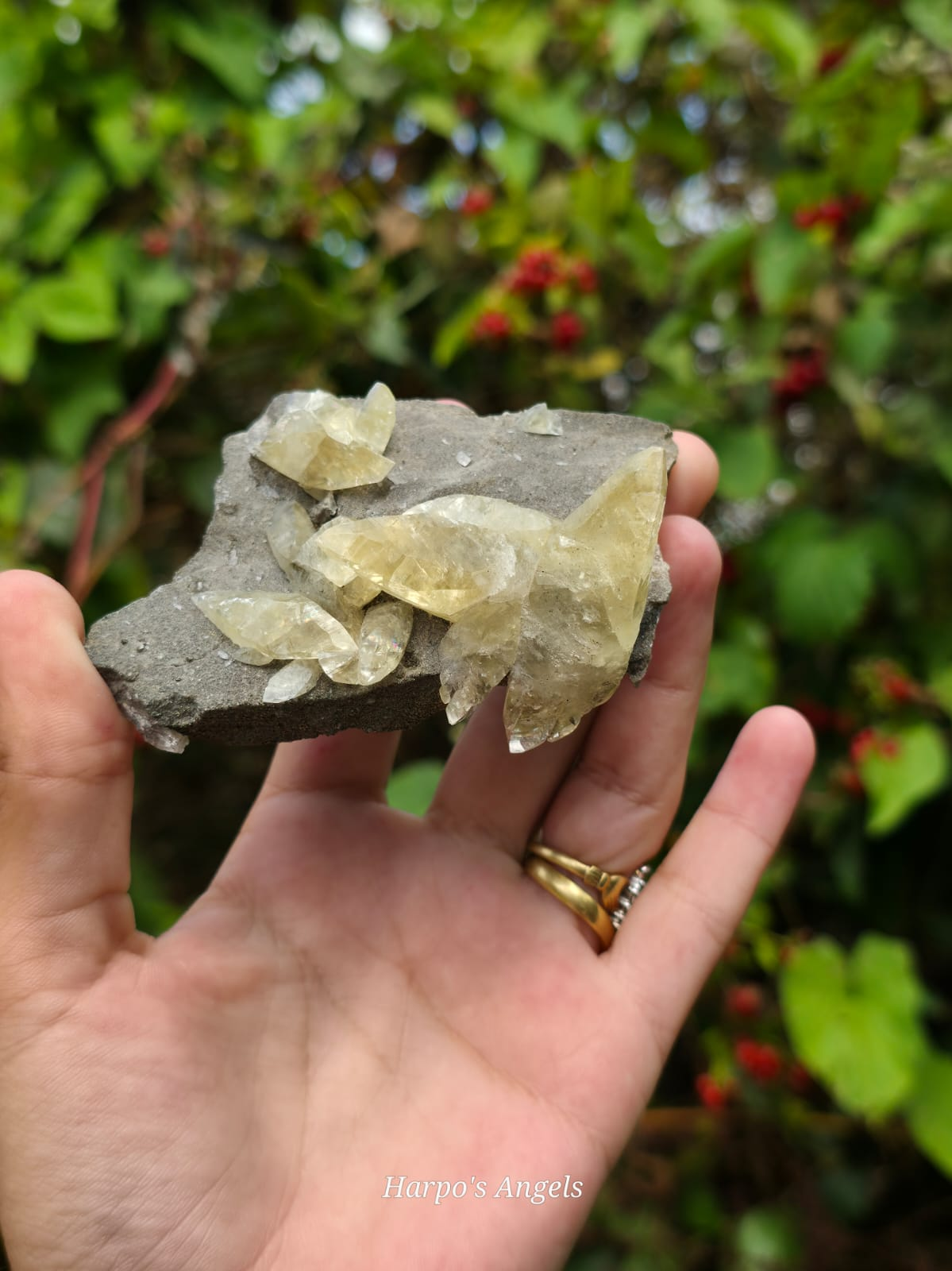 Dragon Scale Calcite Cluster #2