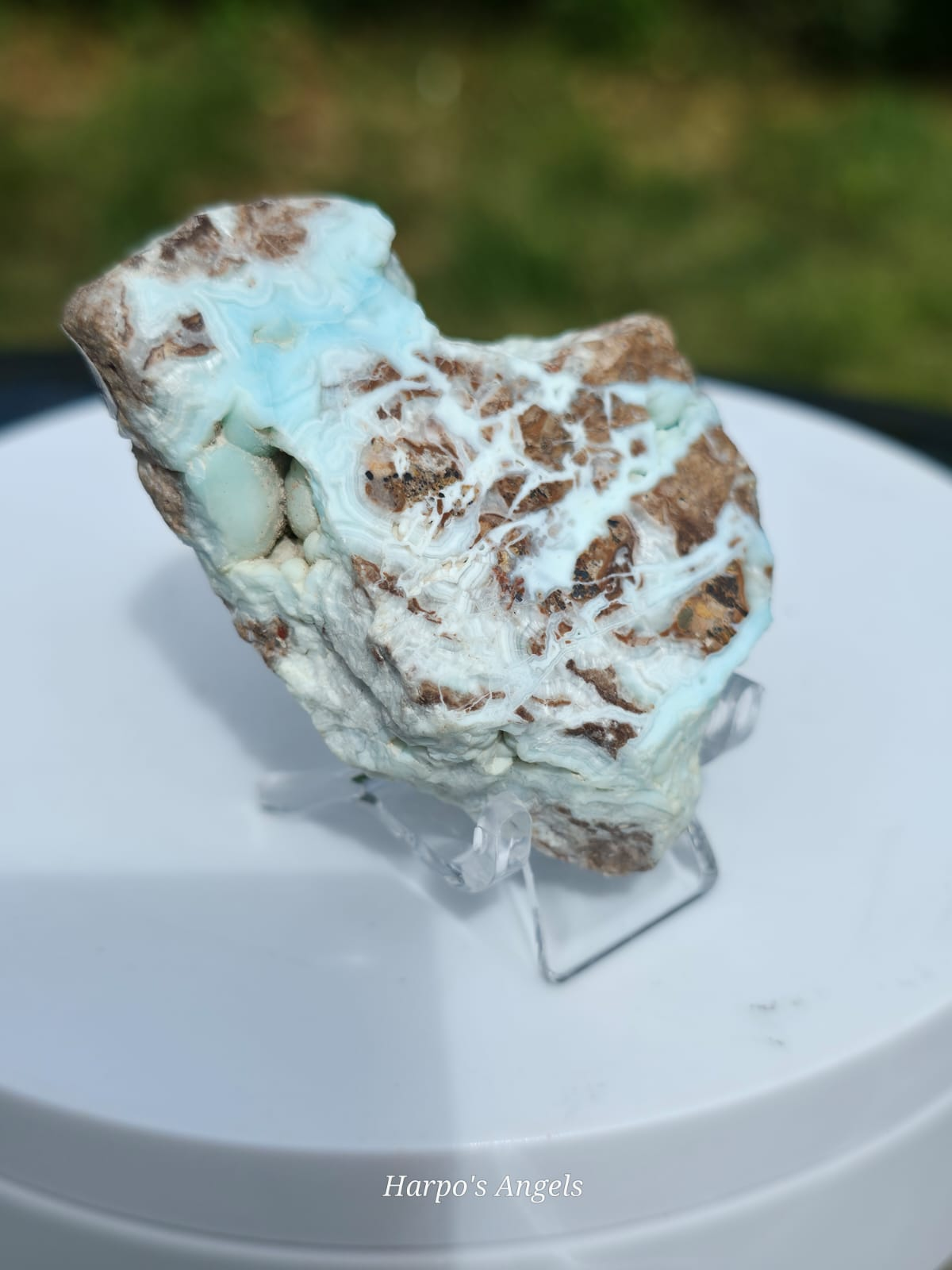 Caribbean Calcite Slice