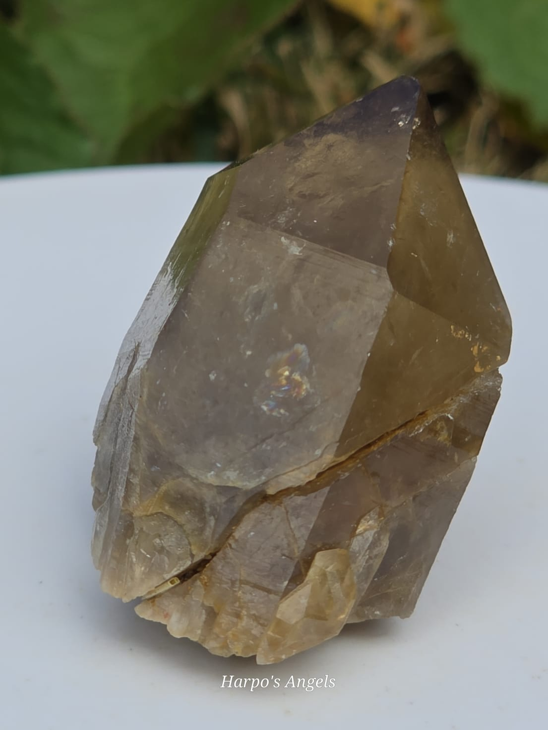 Natural Kundalini Citrine Points