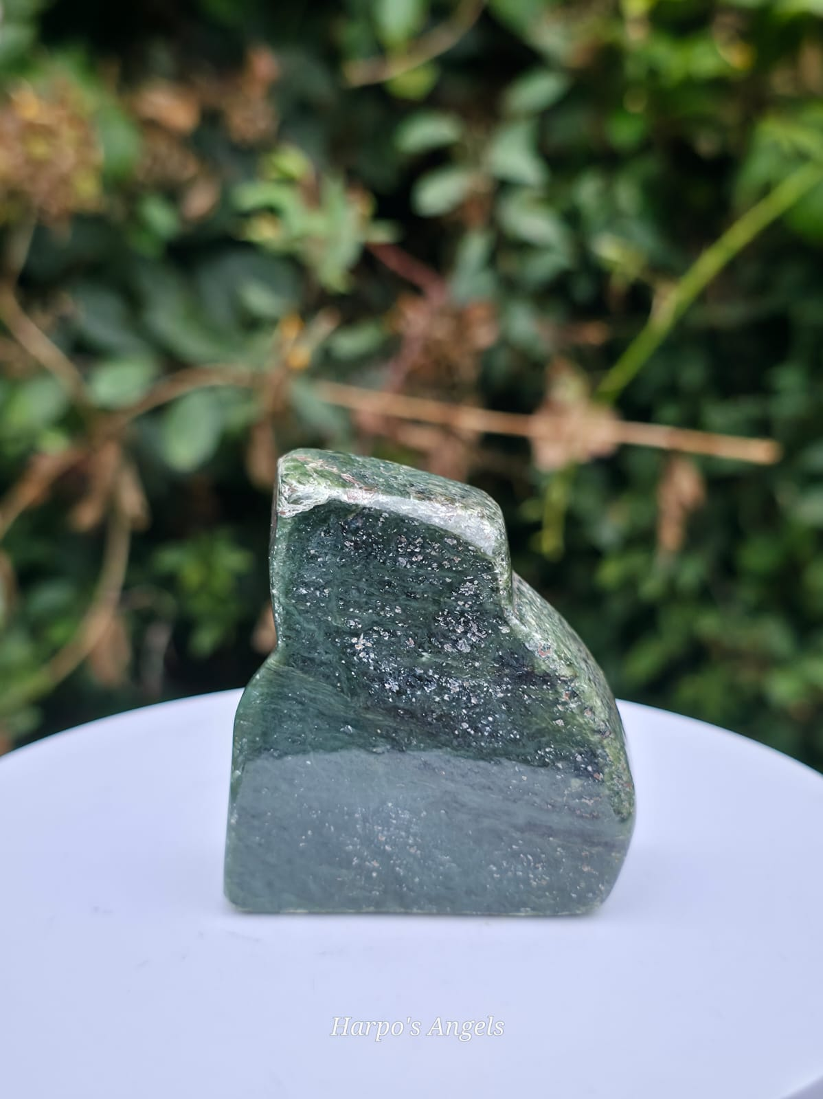 Nephrite Jade Freeform
