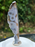 Orbicular Jasper Freeforms