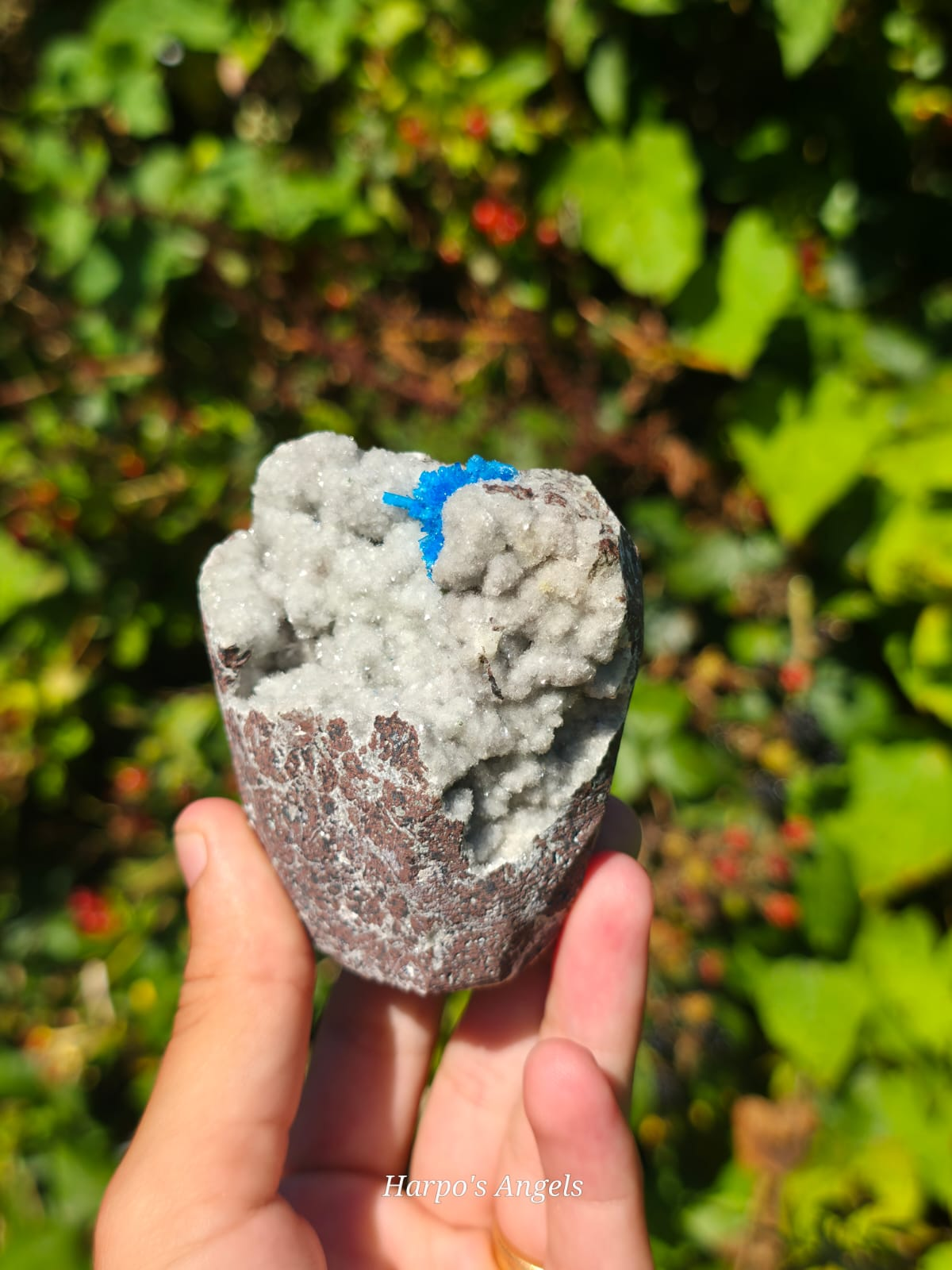 Cavansite on Stilbite Matrix (Pune India)