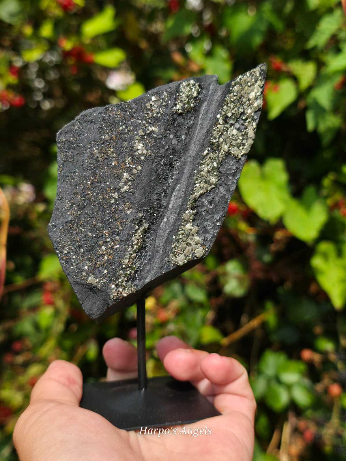 Pyrite on Shungite Display Specimen