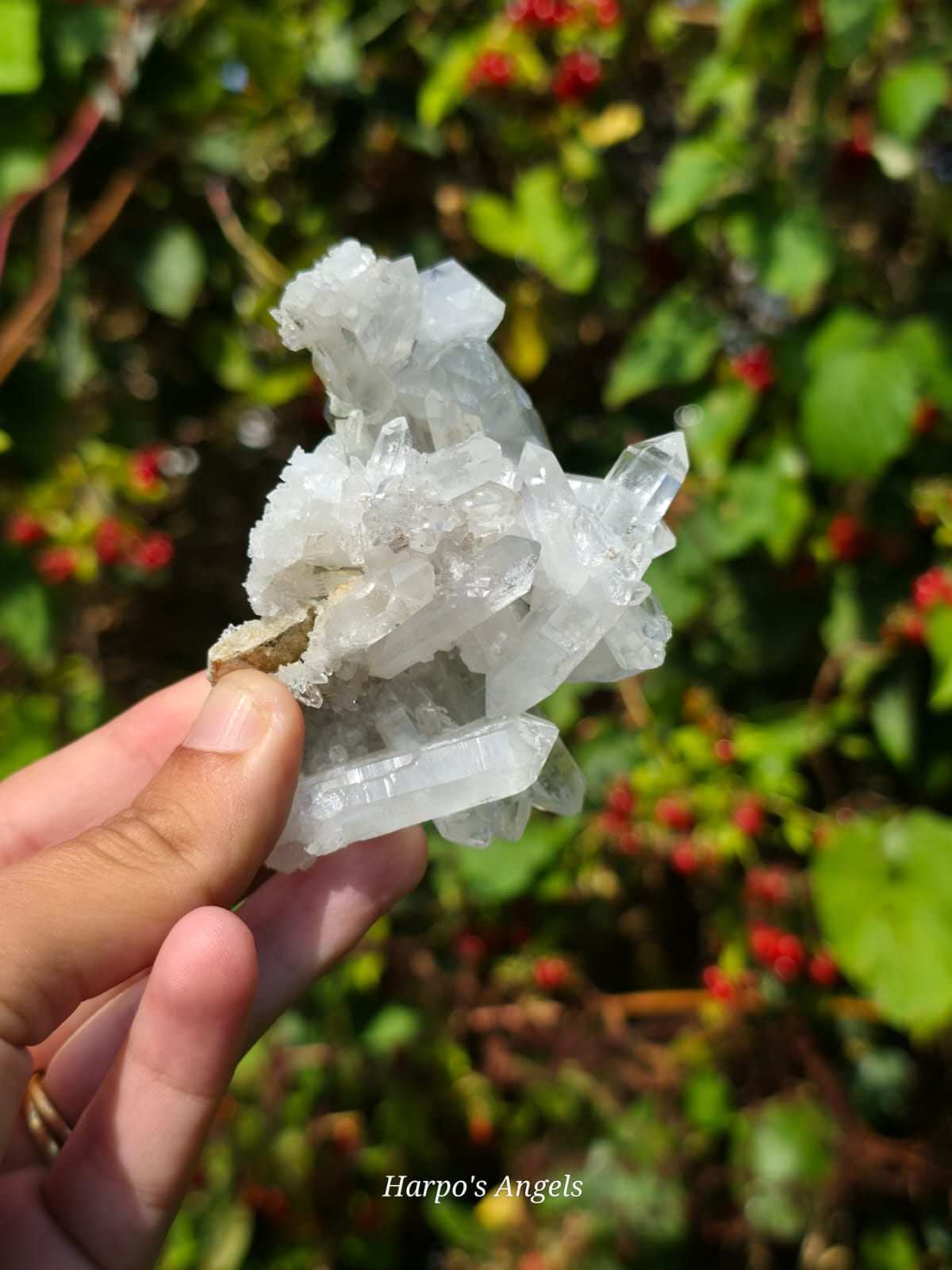Faden Quartz Clusters - Balochistan