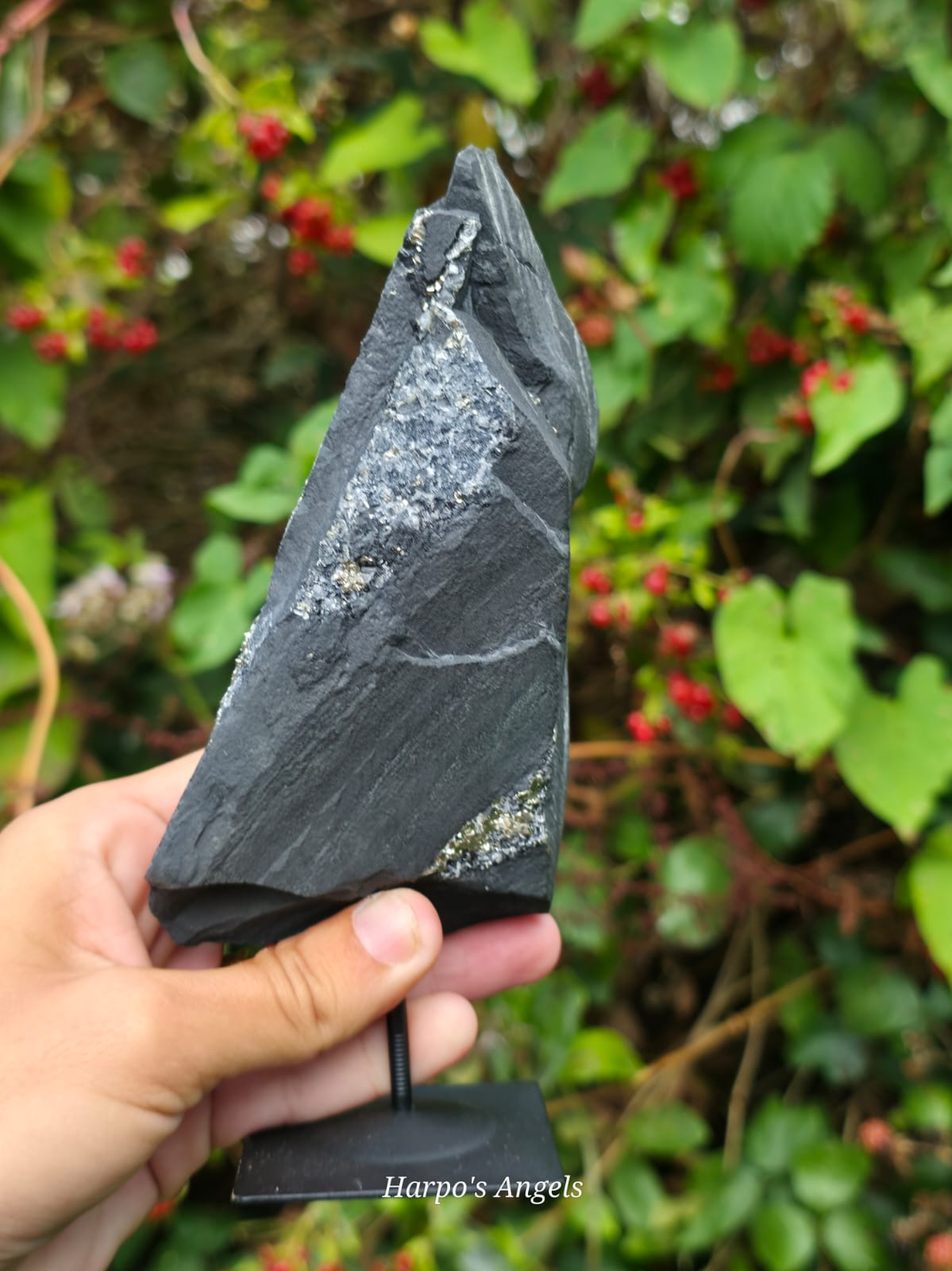 Pyrite on Shungite Display Specimen