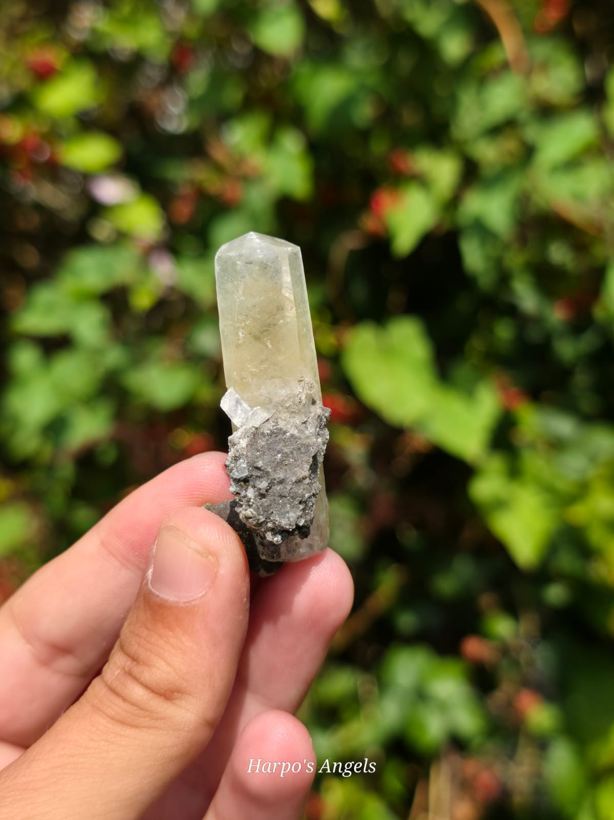 Dragon Scale Calcite Cluster #3
