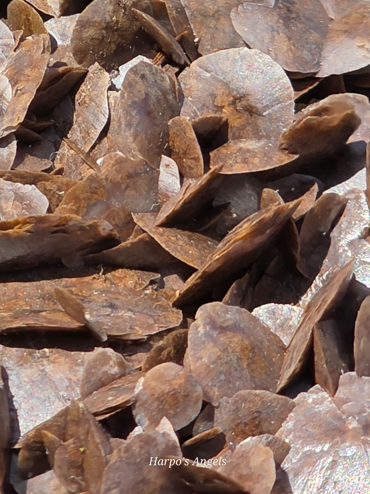 Chocolate Petal Calcite - Guangdong
