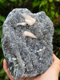 Peach & Clear Heulandite Crystal Specimen - India