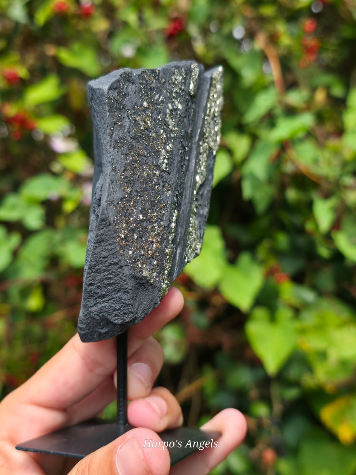 Pyrite on Shungite Display Specimen