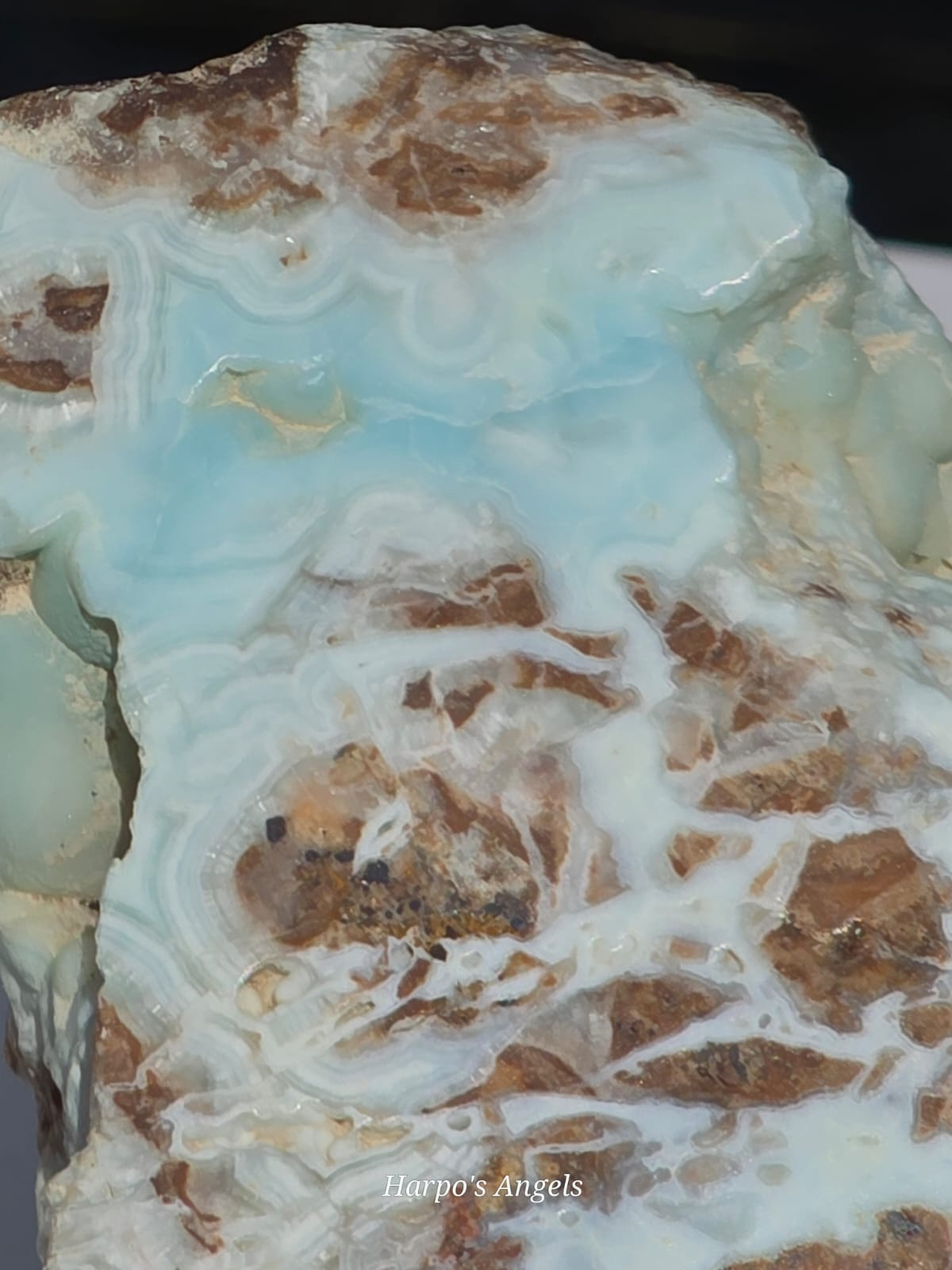 Caribbean Calcite Slice