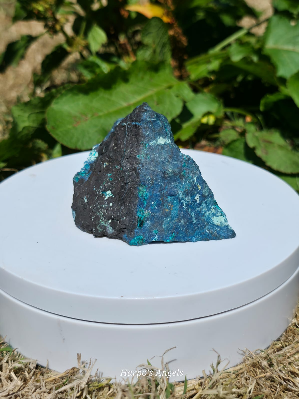 Dioptase Mineral Specimen