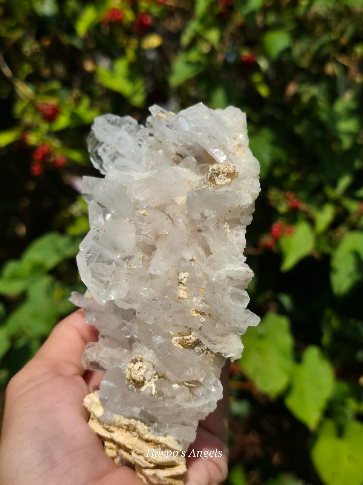 Large Faden Quartz Cluster