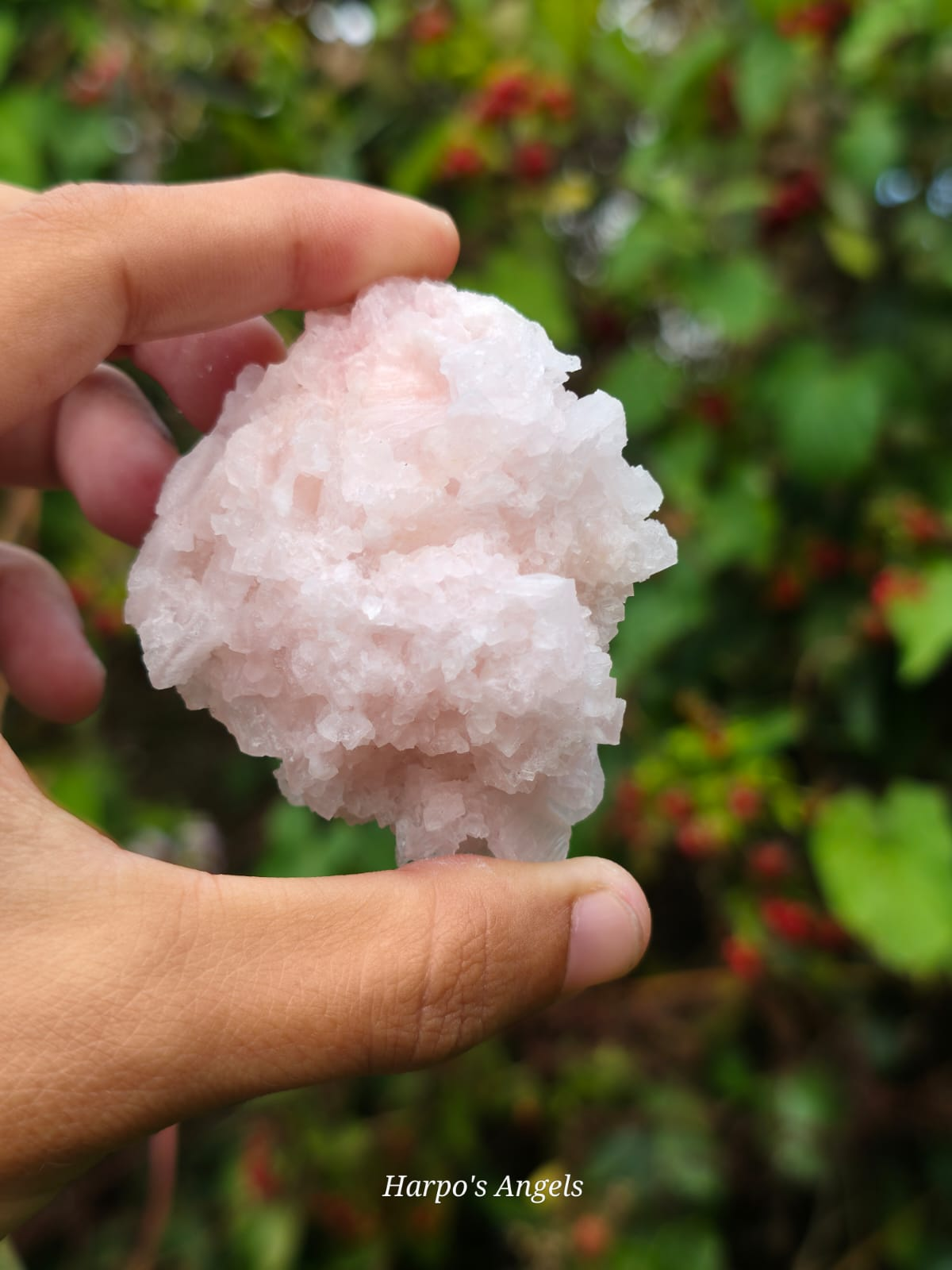 Pink Halite Crystal Cluster #6