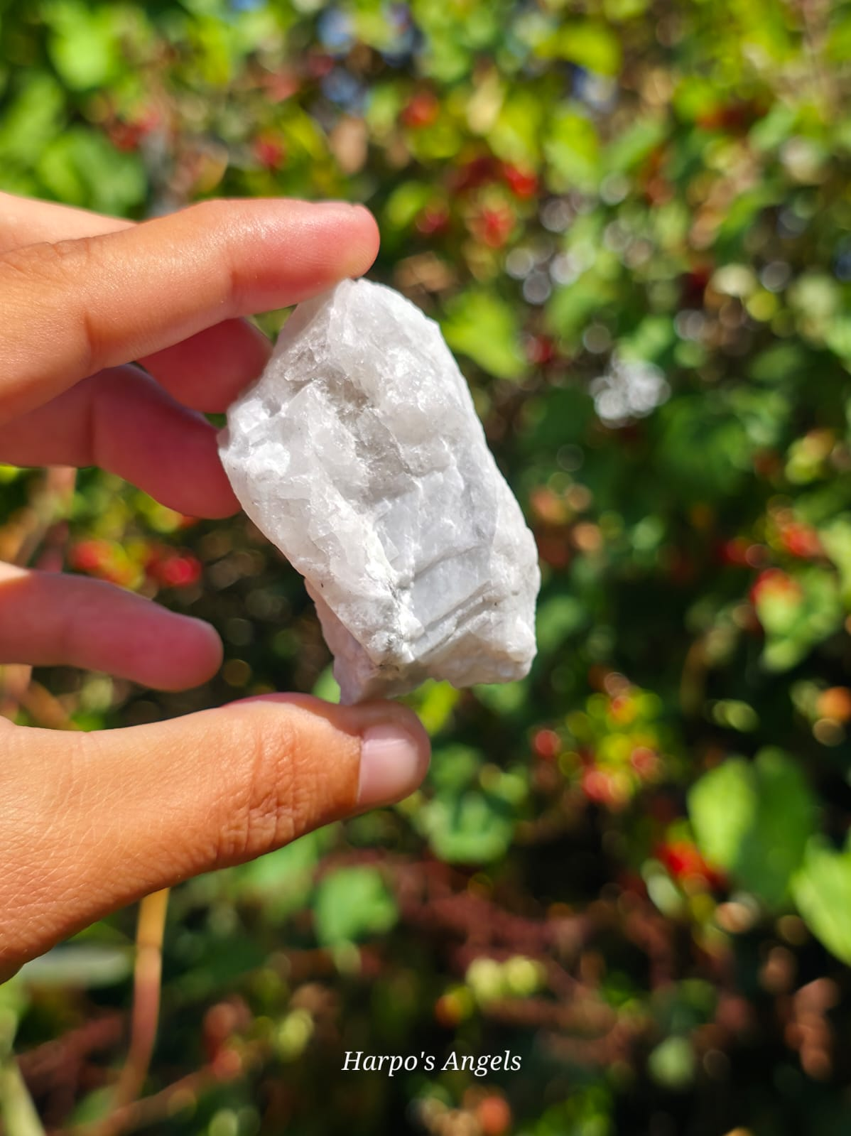 Rainbow Moonstone Rough - (Ex Collection)