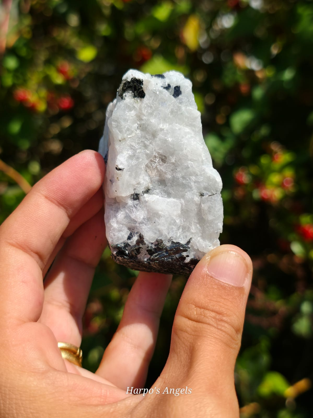 Rainbow Moonstone Rough - (Ex Collection)