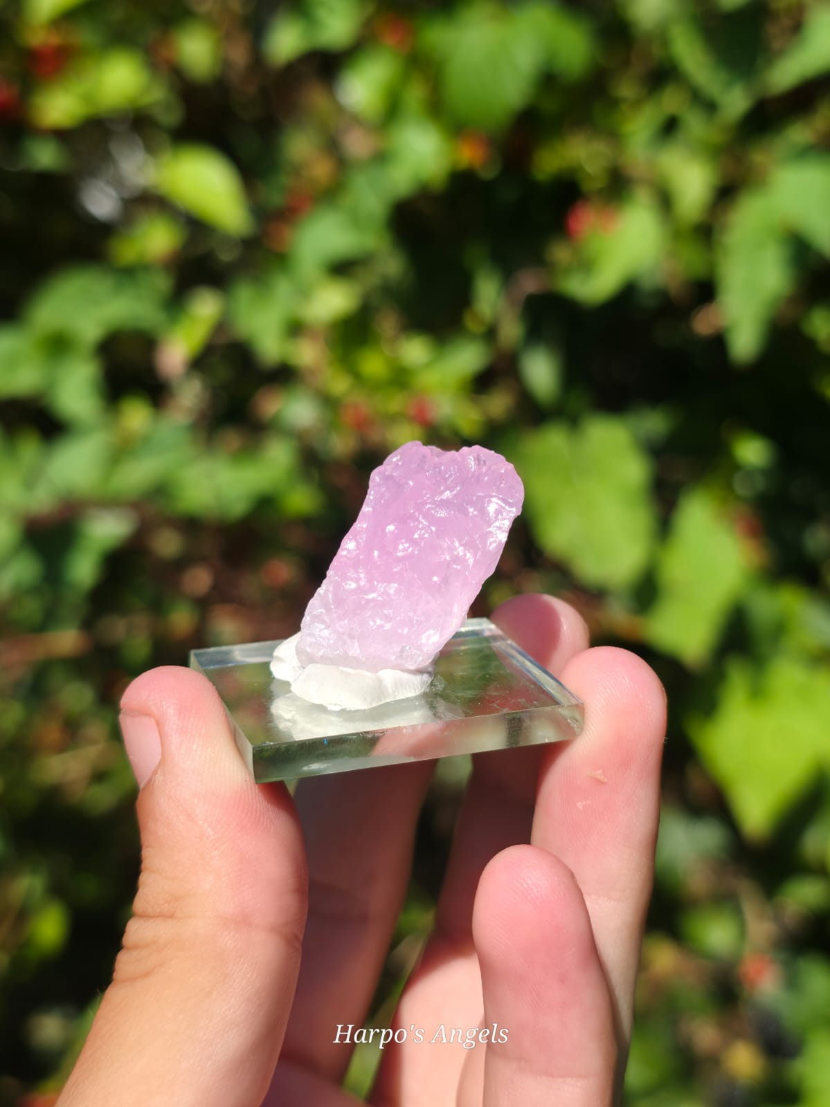 Pink Aragonite Crystal Specimens image 1
