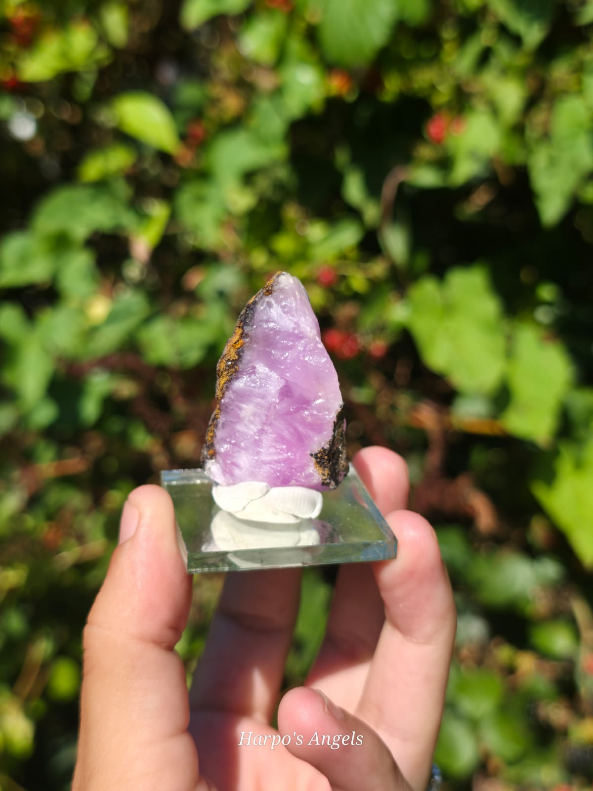 Pink Aragonite Crystal Specimens image 4