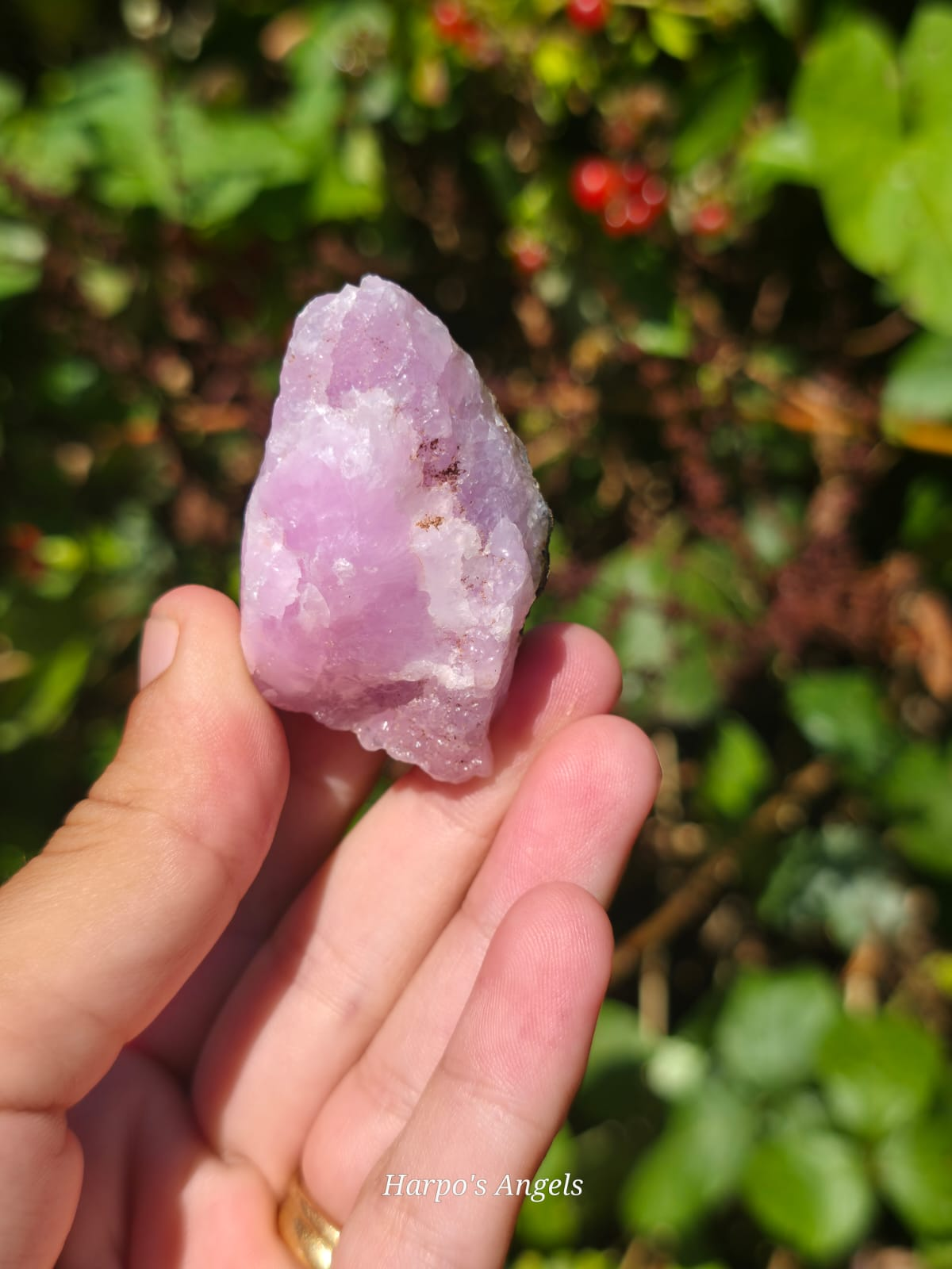 Pink Aragonite Crystal Specimens image 5