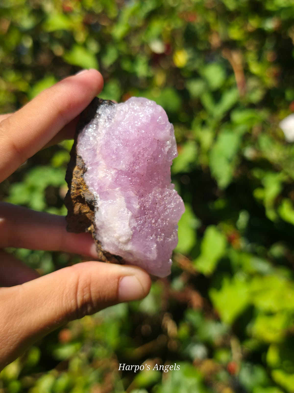 Pink Aragonite Crystal Specimens image 7