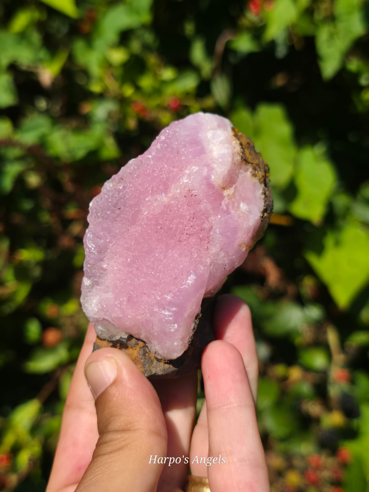 Pink Aragonite Crystal Specimens image 8