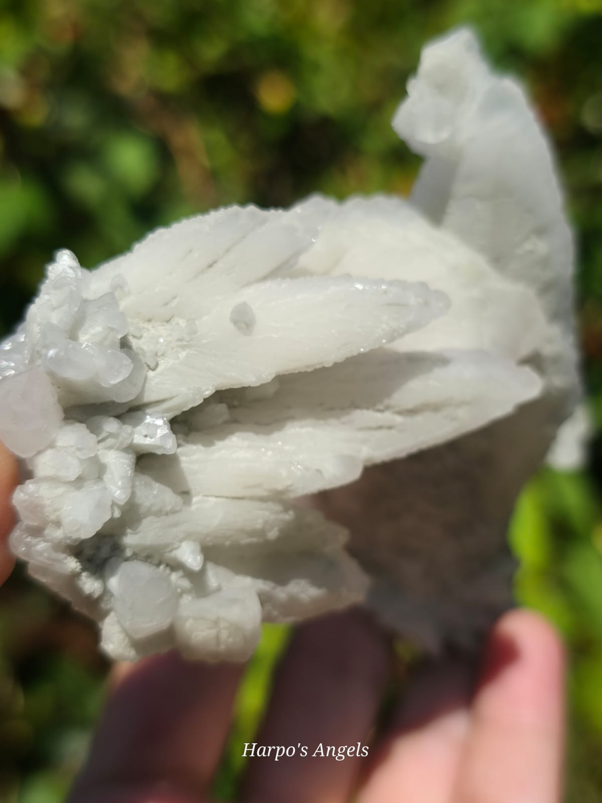 Pink Feathered Calcite Cluster - image 1