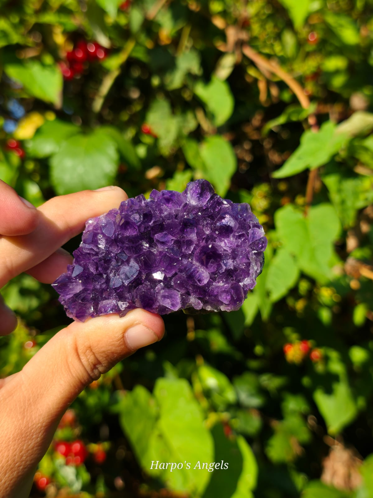 Uruguay Amethyst Clusters - Variant A - image 1