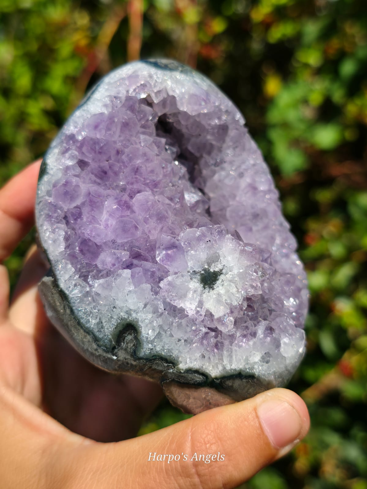 Brazilian Amethyst Cut Bases - Variant A - image 1