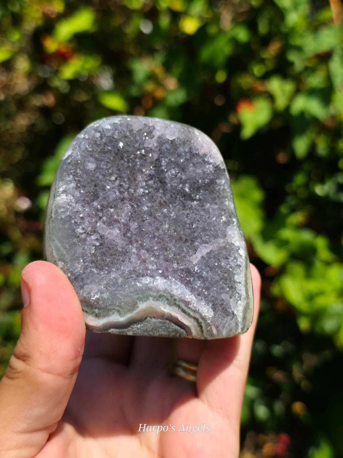Brazilian Amethyst Cut Bases - Variant D - image 1