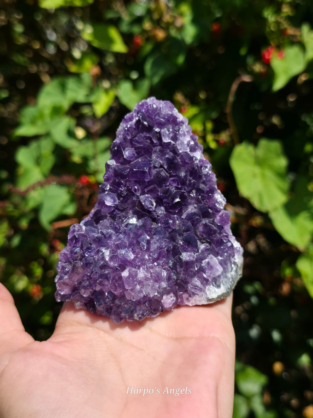 Uruguayan Amethyst Cut Bases - Variant B - image 1