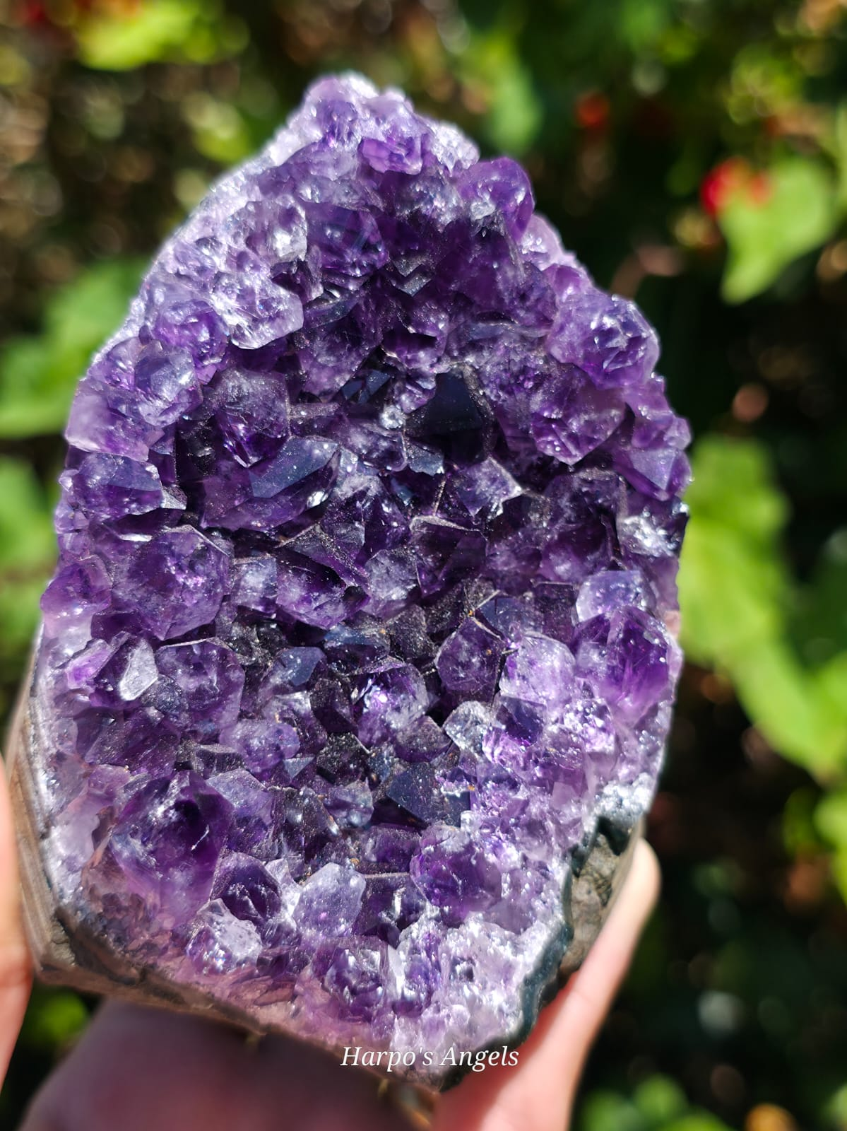 Uruguayan Amethyst Cut Bases - Variant C - image 1